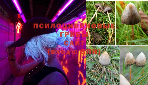 винт Баксан