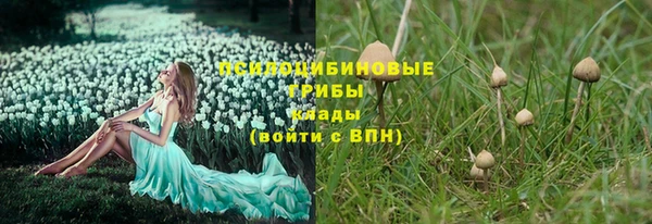 винт Баксан