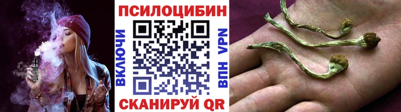 мега онион  Суворов  Галлюциногенные грибы мицелий 
